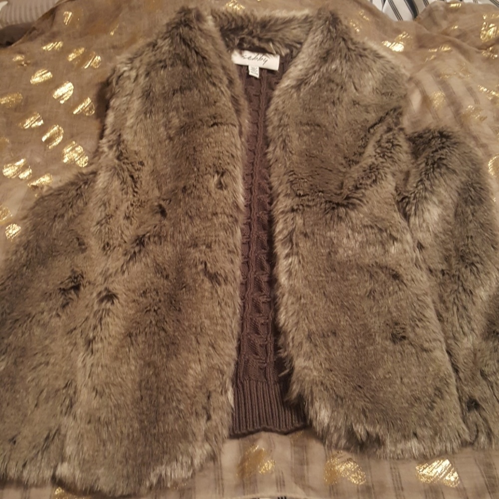 Faux Fur Vest (Updated)